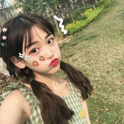 盗贼生涯